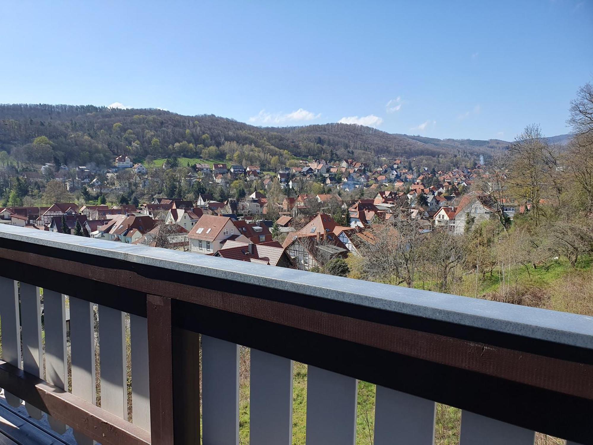 Apartments Villa-Ratskopf ヴェルニゲローデ エクステリア 写真